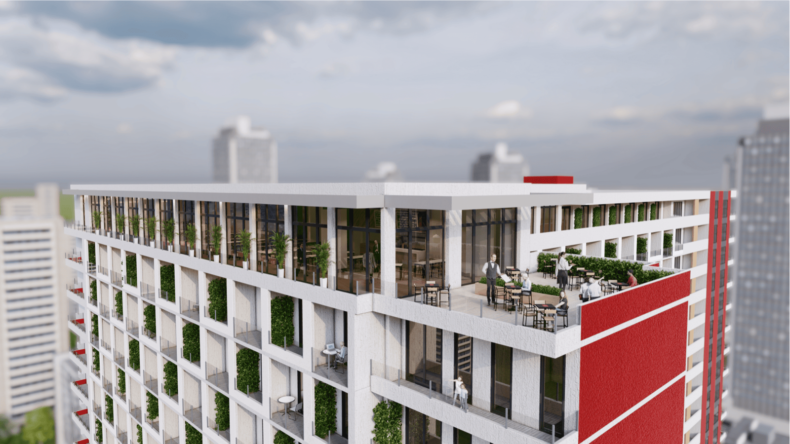 RED Business Level